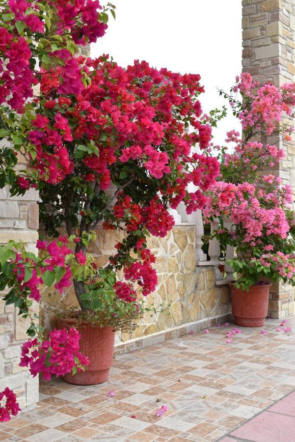 Relax Pozar Hotel Loutraki  Exterior photo